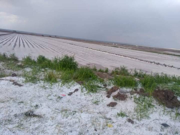 daños por granizo