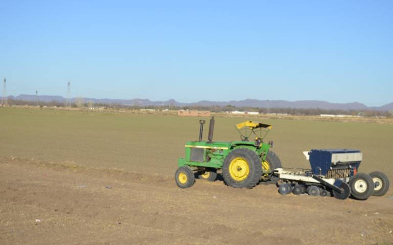 campo