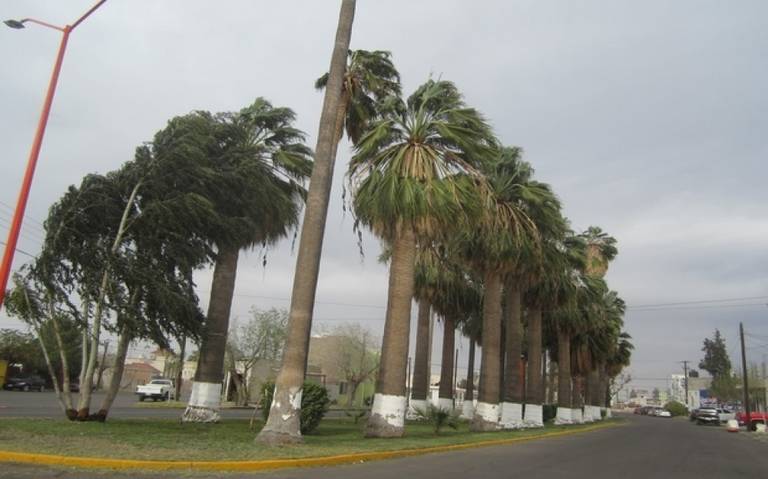 Viento Delicias