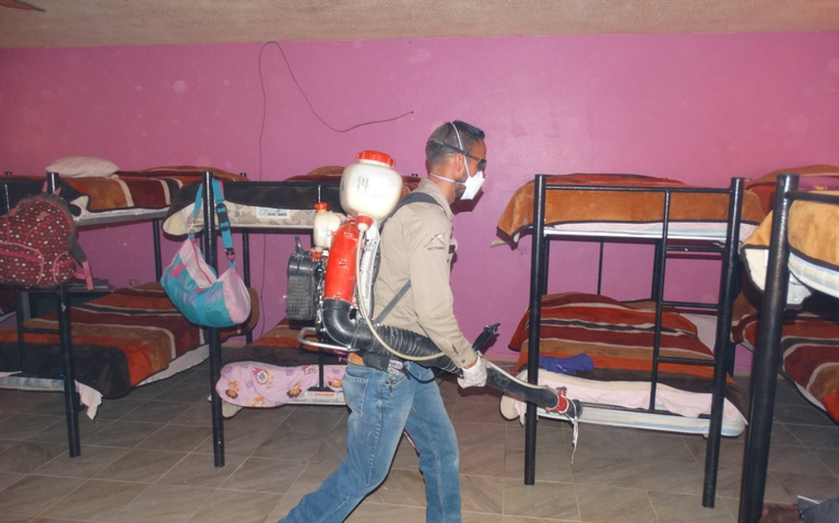 Fumigacion-Arbovirus