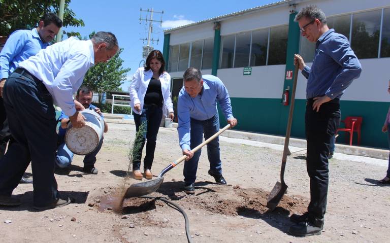 MEOQUI reforestacion